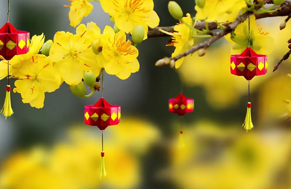 Top các giống mai vàng chơi Tết