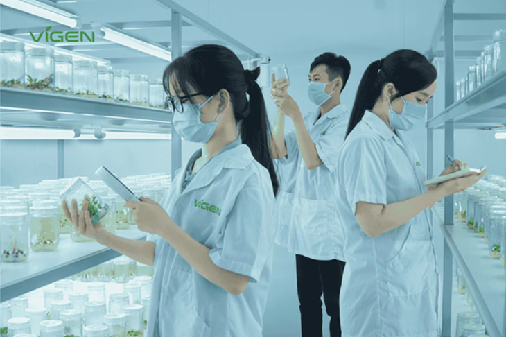 Cây giống ViGen - Khát vọng nâng tầm giá trị nông sản Việt bằng công nghệ sinh học 4.0