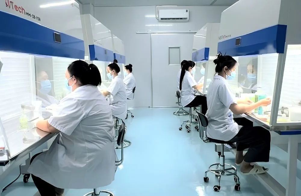 Quy trình sản xuất cây chuối sứ cấy mô
