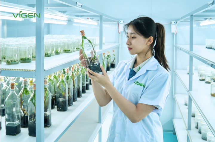 Cây giống ViGen - Kiến tạo tương lai xanh bằng nền tảng nông nghiệp bền vững