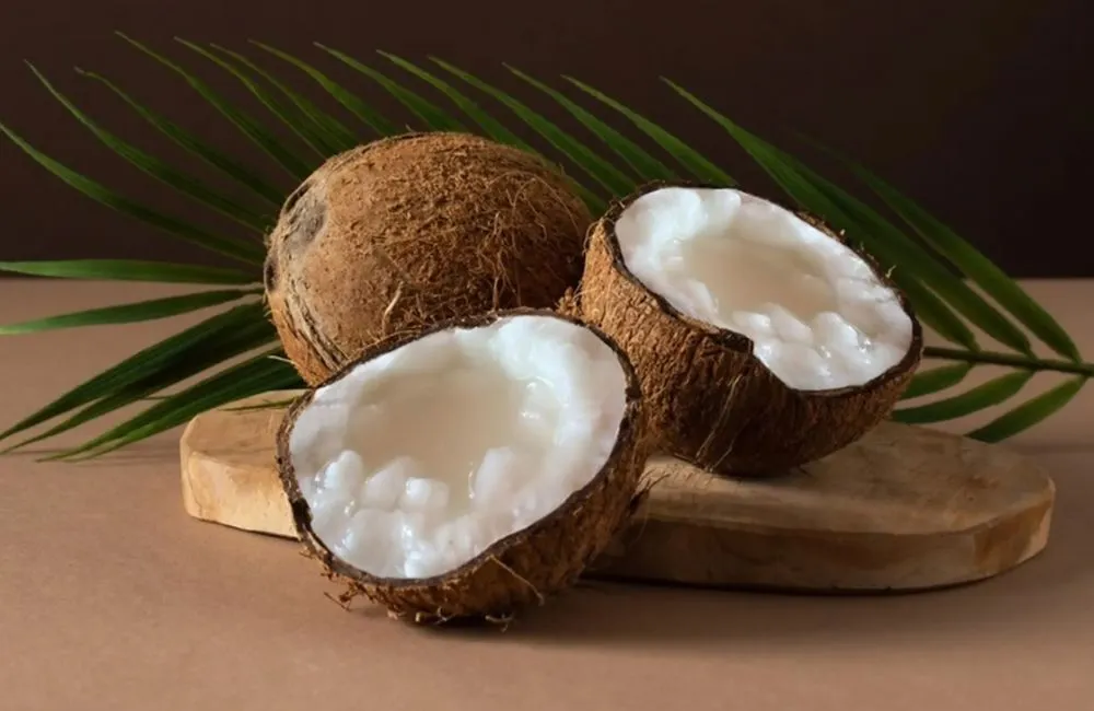 Tỷ lệ sáp của dừa