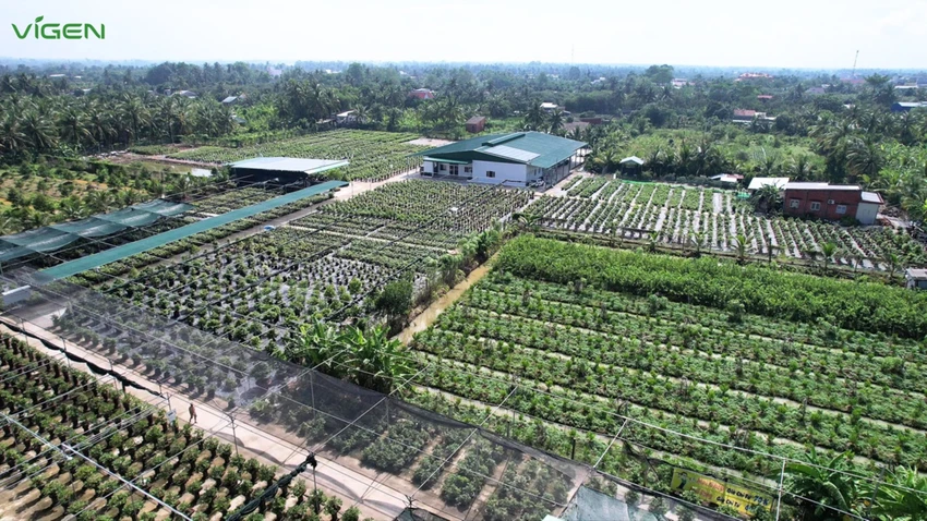 ViGen: Trung tâm nghiên cứu và sản xuất cây giống công nghệ cao trọng điểm