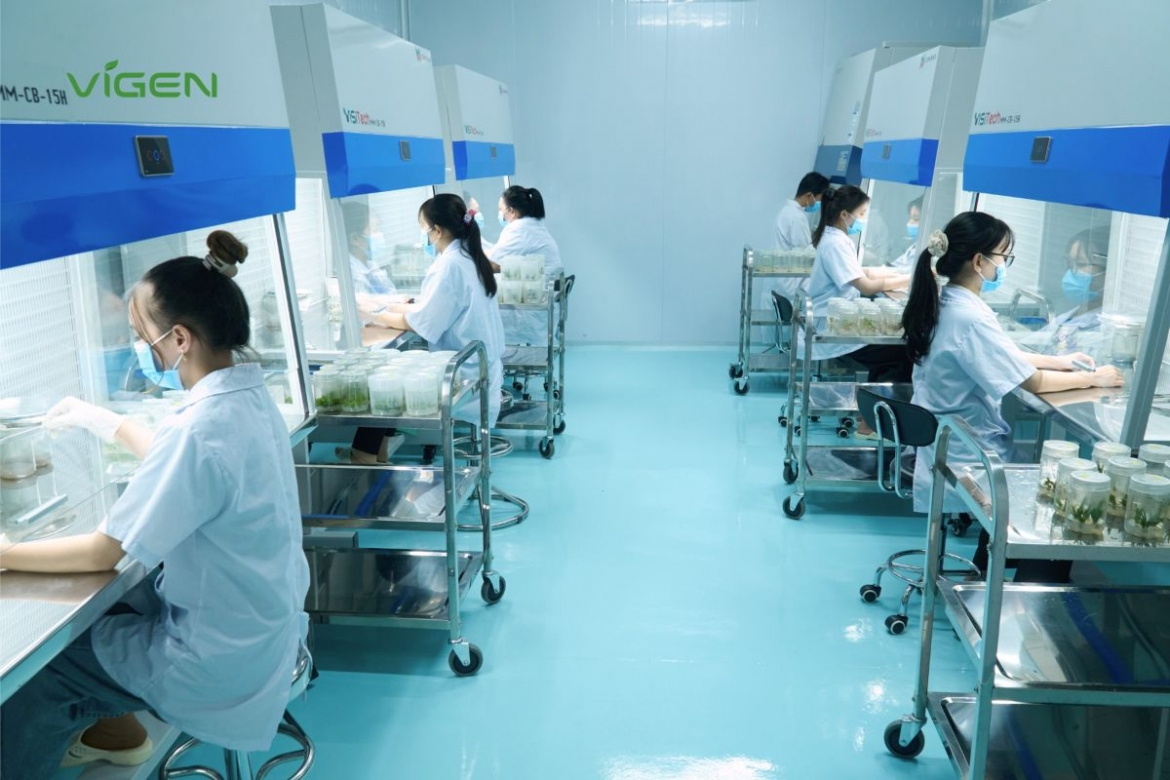 ViGen: Thiết lập "tiêu chuẩn vàng" cho ngành giống cây trồng cấy mô Việt Nam