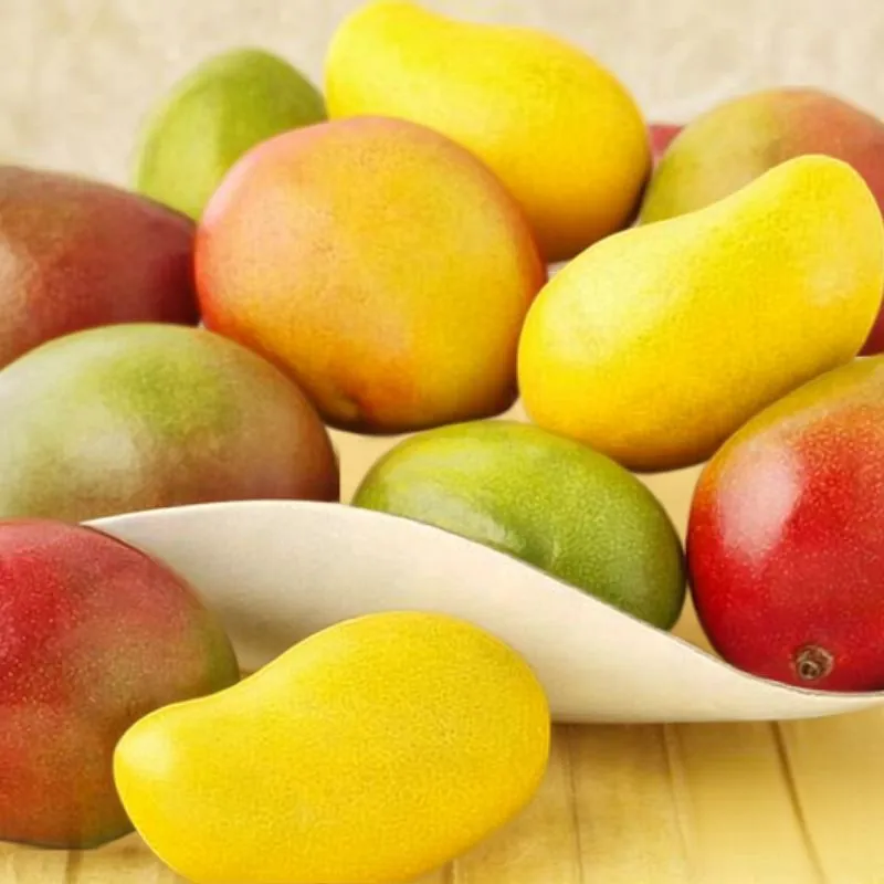 Xoài Alphonso