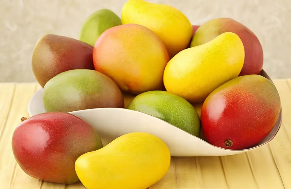 Xoài Alphonso