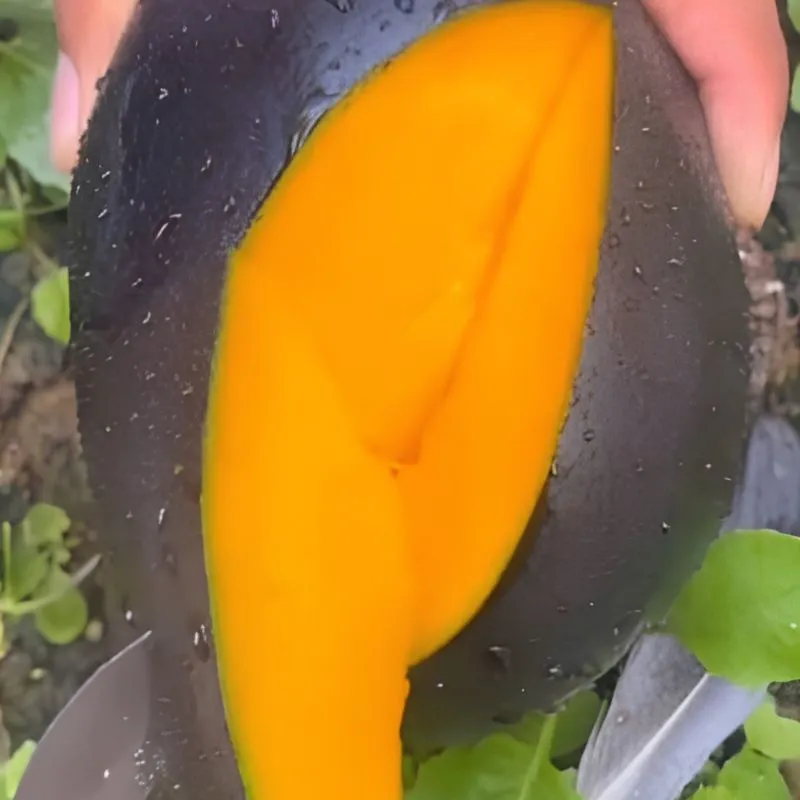 Xoài Black Stone