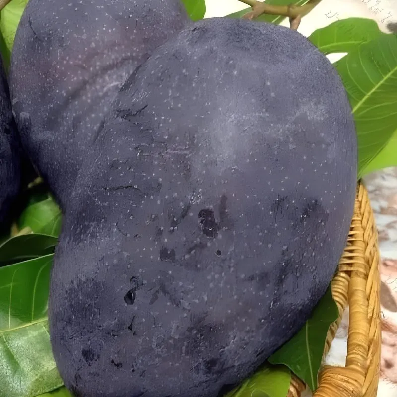 Xoài Black Stone