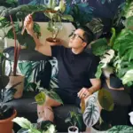 Điều gì khiến xu hướng chơi kiểng lá trở thành trào lưu ?