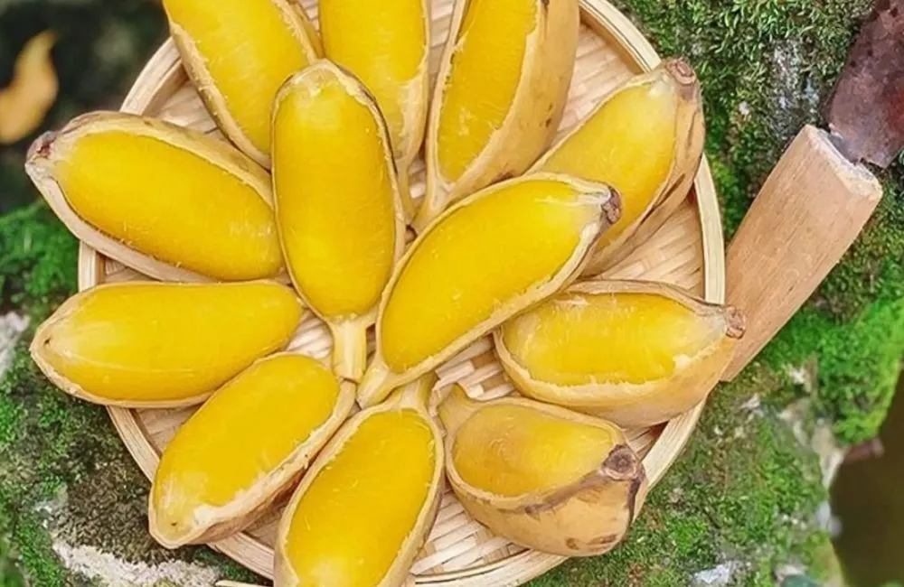 Chuối sáp luộc