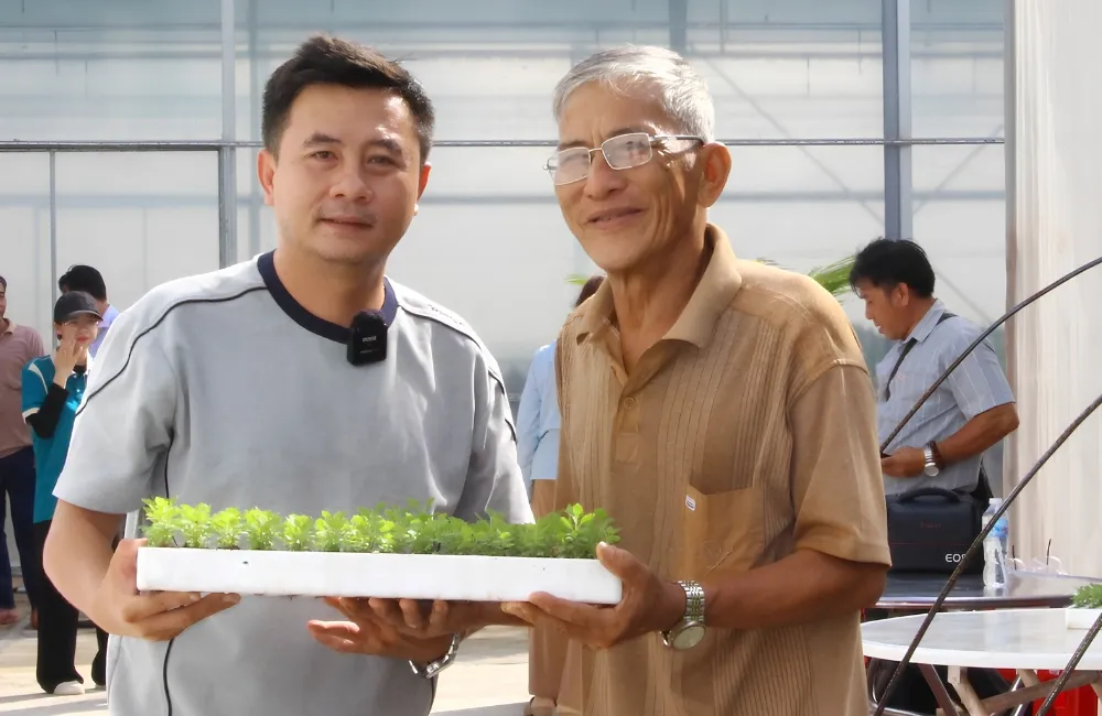 Bàn giao cây giống cấy mô