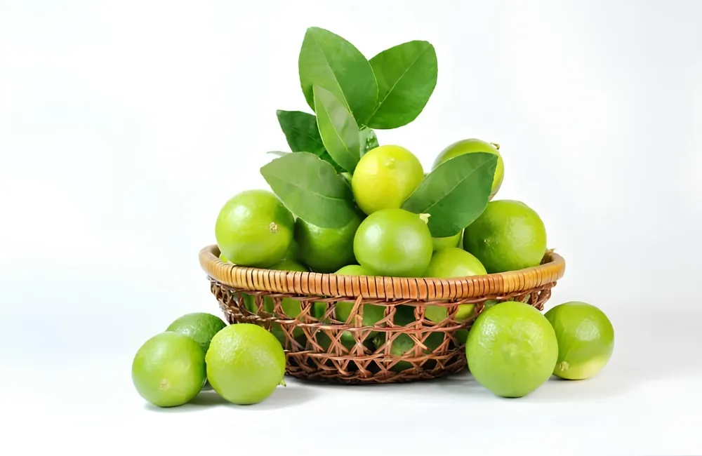 Các giống chanh không hạt
