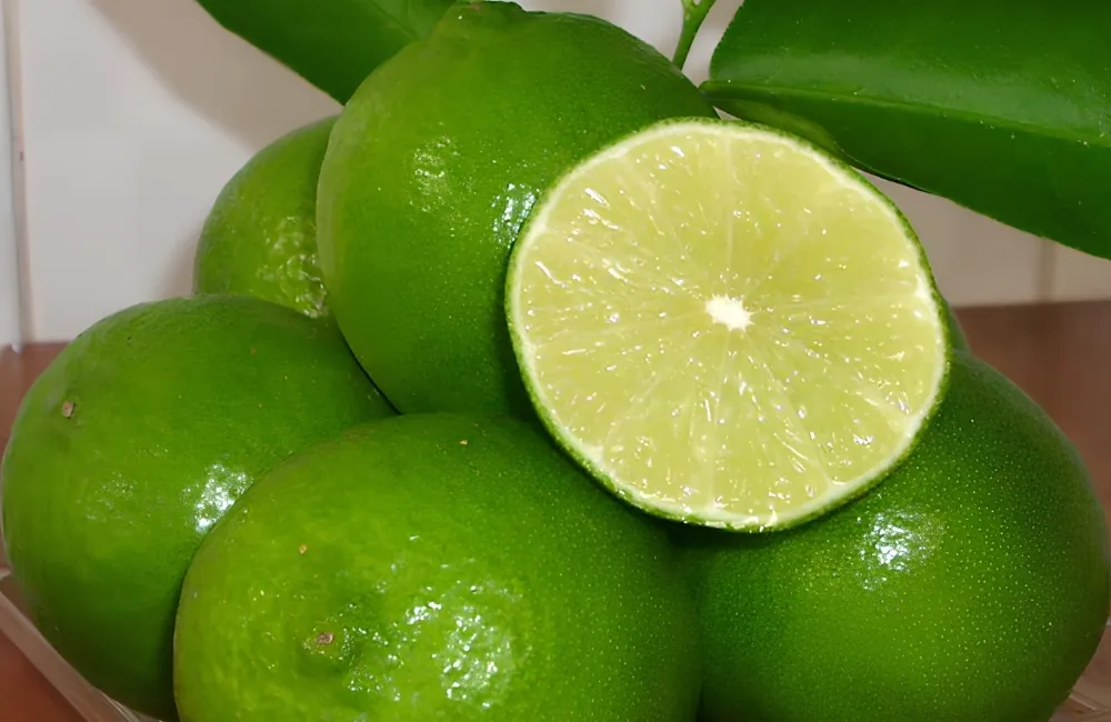 Các giống chanh không hạt