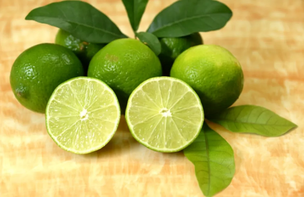 Các giống chanh không hạt
