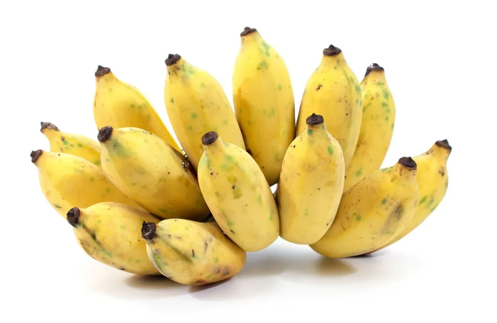 Các loại chuối Mốc