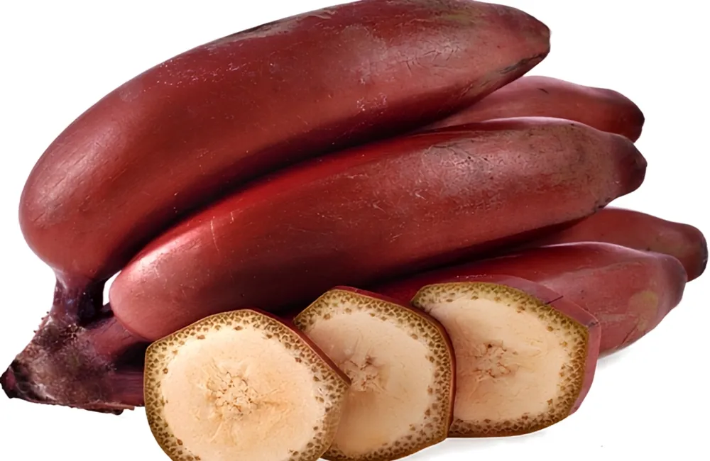 Đặc điểm chuối Cau Đỏ