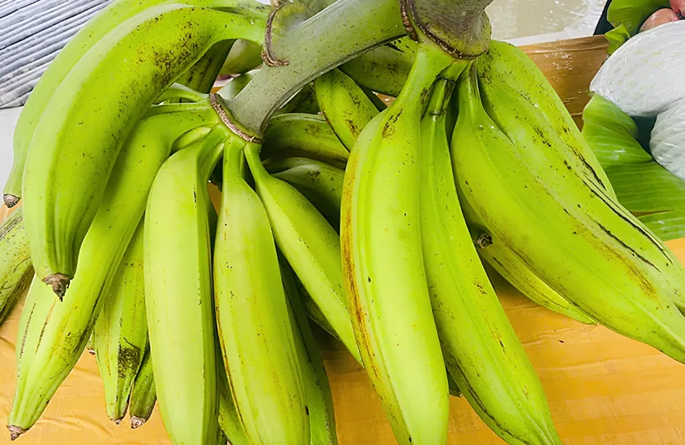 Đặc điểm chuối Tá Quạ