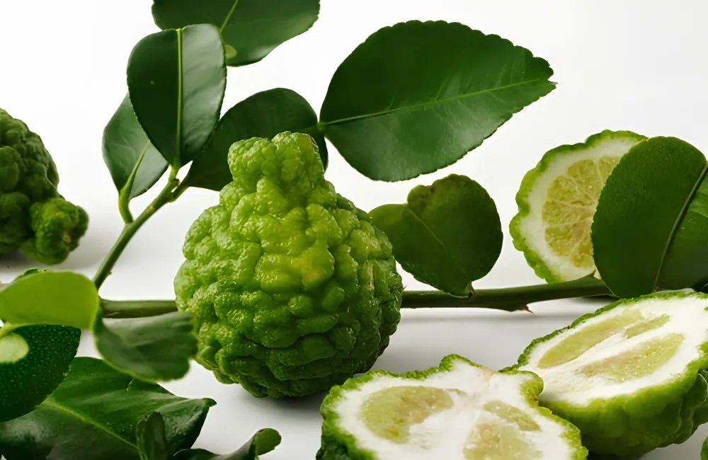 Dặc điểm sinh trưởng Chanh Trúc