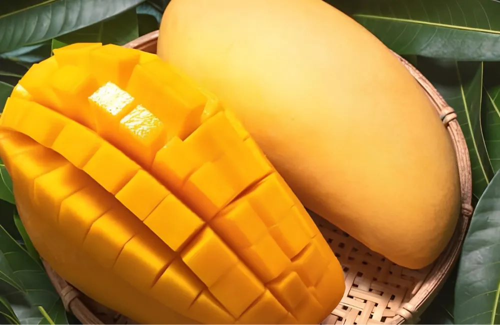 Đặc điểm xoài Carabao