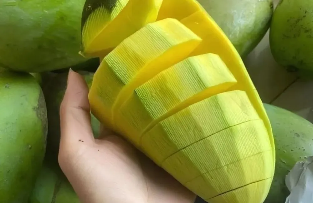 Đặc điểm xoài Hạ Tuyết Đài Đông