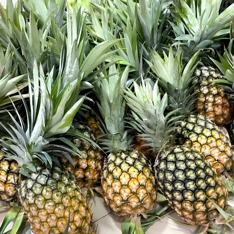 Dứa mật Pu Lau không gai