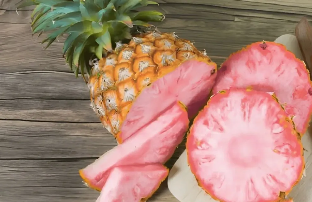 Đặc điểm dứa Pinkglow