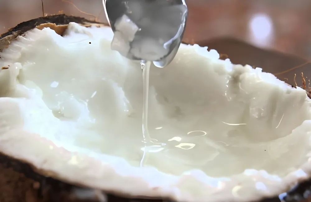 Dừa sáp tạo sáp