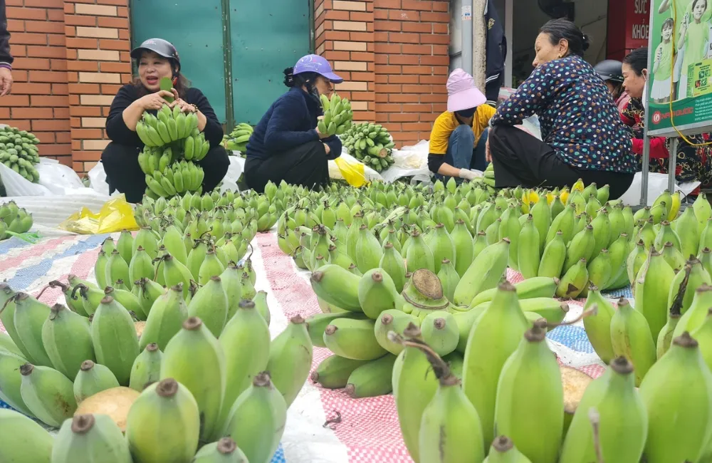Giá chuối Sáp