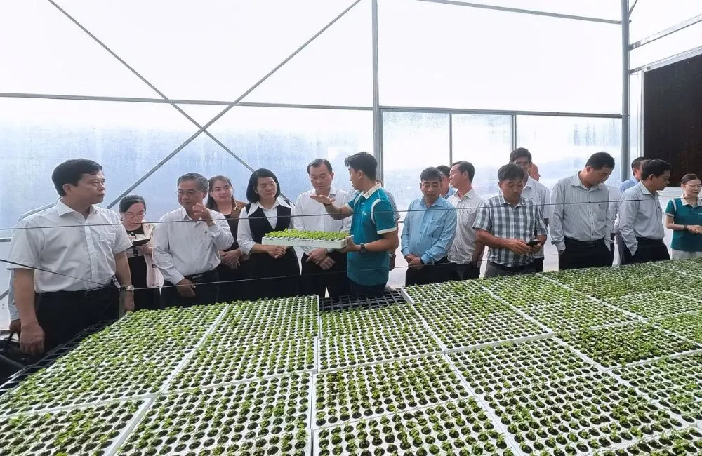Mô hình nông nghiệp công nghệ cao