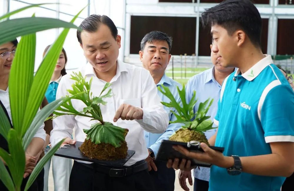 Mô hình nông nghiệp công nghệ cao