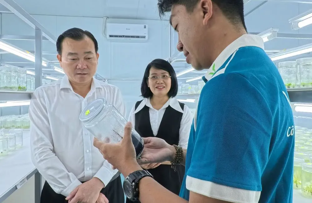 Mô hình nông nghiệp công nghệ cao