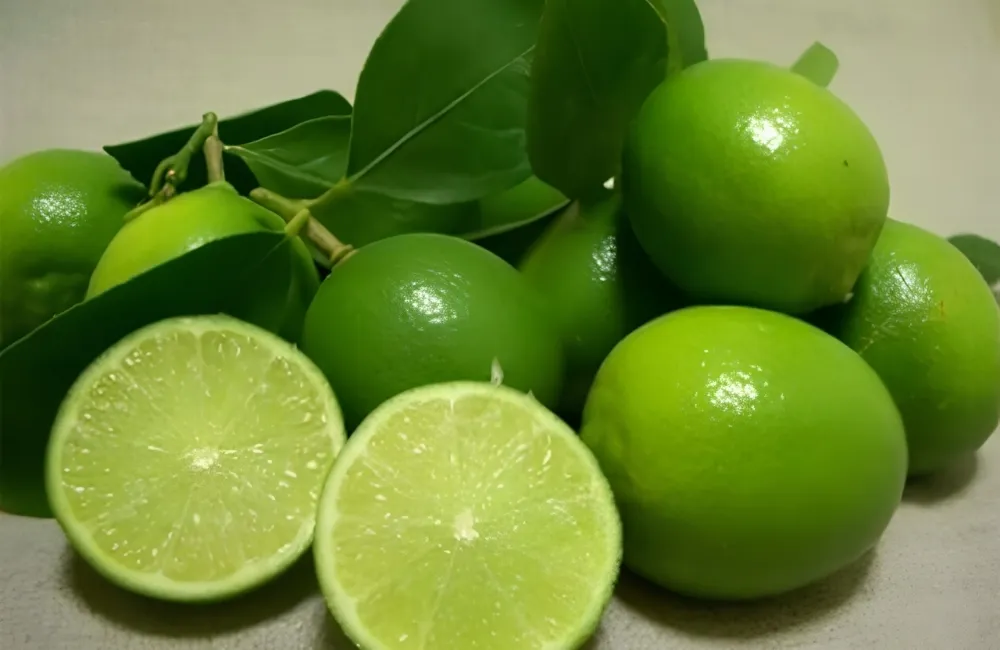 Mua cây chanh không hạt