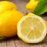 Mua cây Chanh Vàng Mỹ ở đâu uy tín và bí quyết chọn cây  giống
