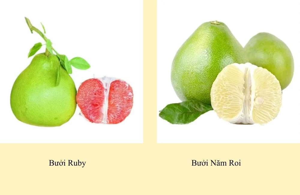 So sánh bưởi Ruby