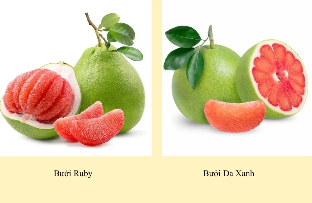 So sánh bưởi Ruby