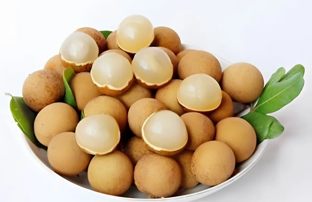 Các giống Thanh Nhãn
