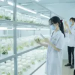 Nuôi cấy mô thực vật: Giải pháp nhân giống cây quý hiếm