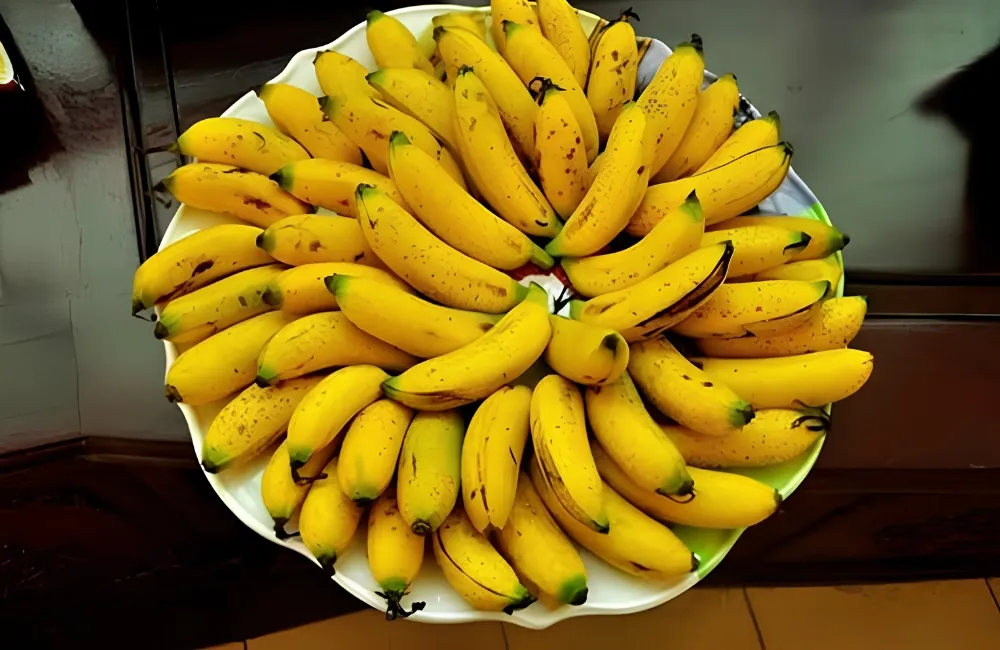 Bảo quản chuối Cau Mẫn