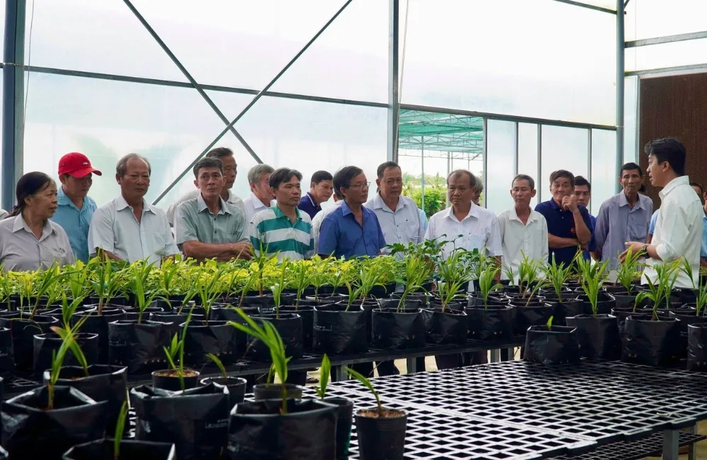 Cây giống cấy mô công nghệ cao tại ViGen