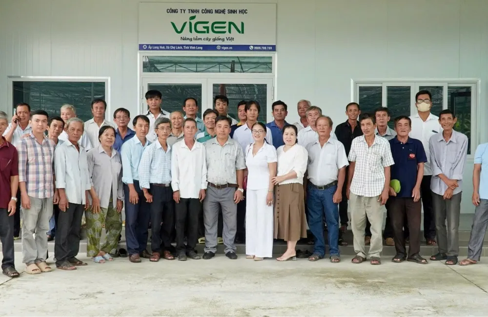 Cây giống cấy mô công nghệ cao tại ViGen