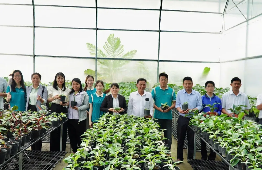 Cây giống cấy mô công nghệ cao tại ViGen