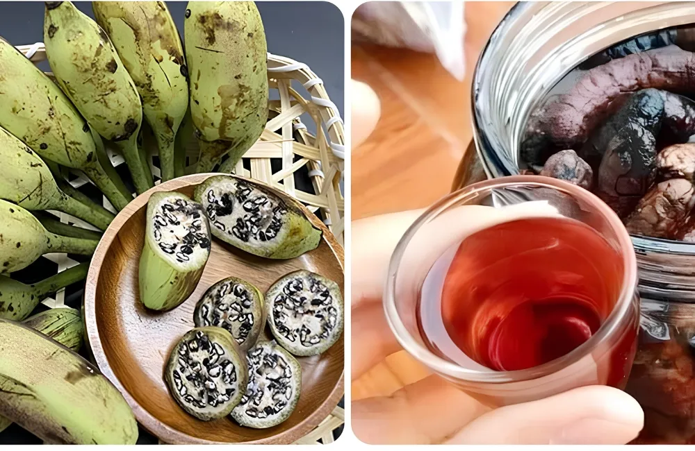 Công dụng chuối Hột