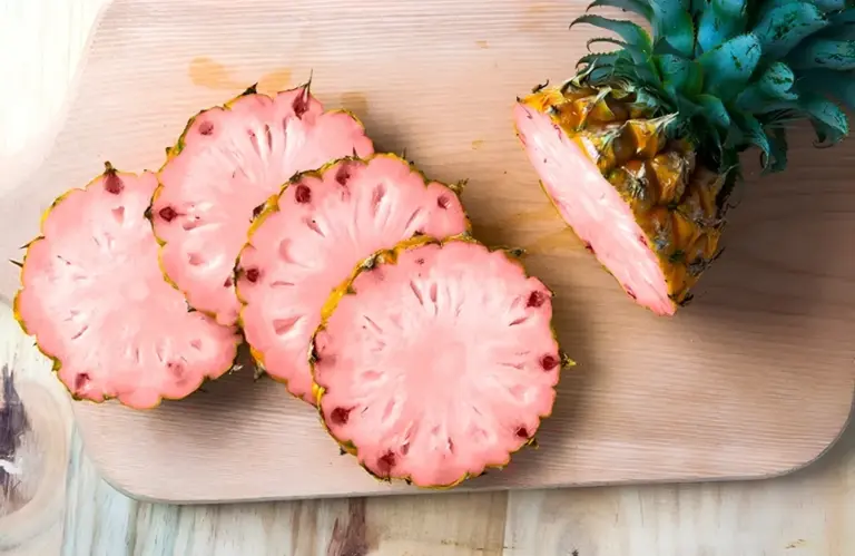 Giá cây giống Dứa Pinkglow hiện nay bao nhiêu và cách chọn cây giống
