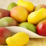Giá cây giống Xoài Alphonso mới nhất và các yếu tố ảnh hưởng