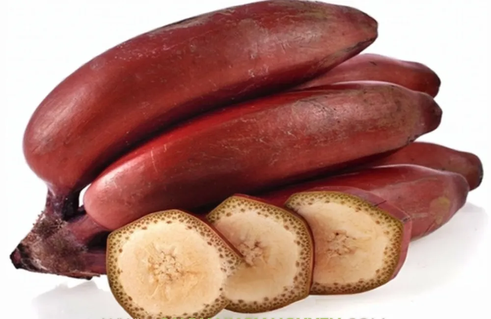Giá trị chuối Cau Đỏ