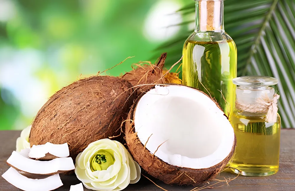 Hiệu quả kinh tế cây dừa Ta