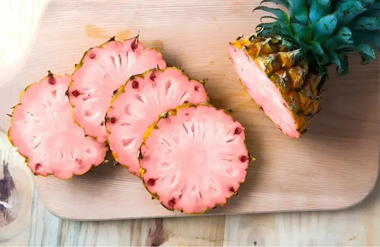 Mua cây giống Dứa Pinkglow ở đâu chất lượng, đáng tin cậy?